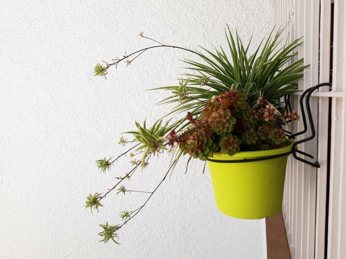 Mi Jardin Apartment Беналмадена Екстериор снимка